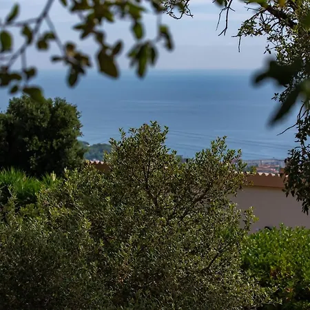 Villa Carrera